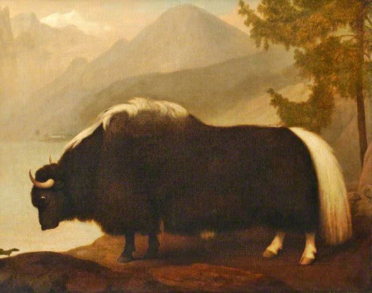 Yak by George Stubbs
