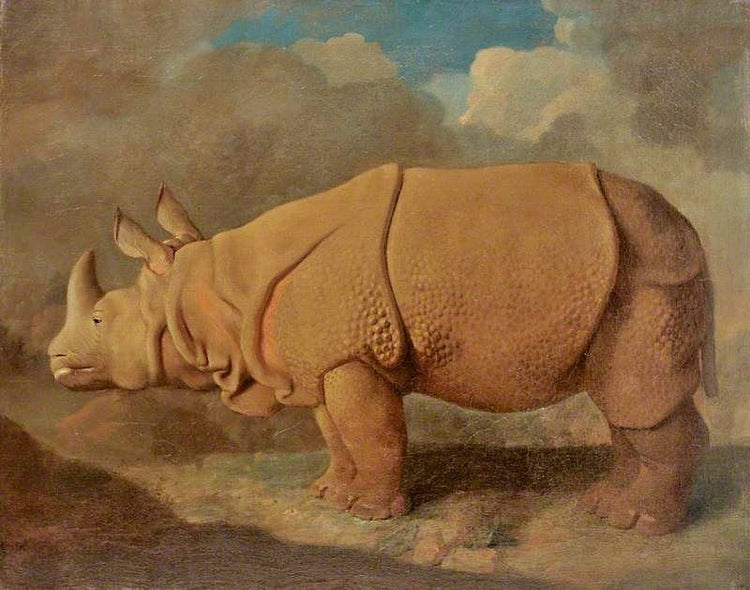 Rhinoceros by George Stubbs