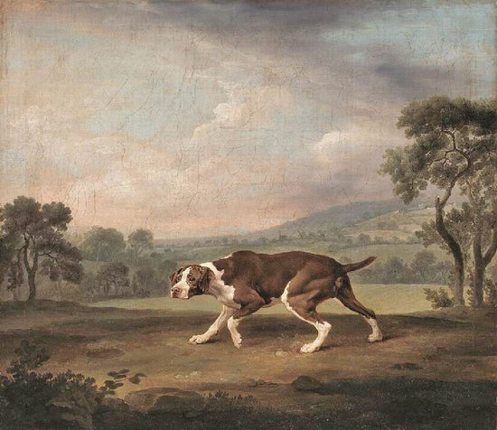 Pointer by George Stubbs