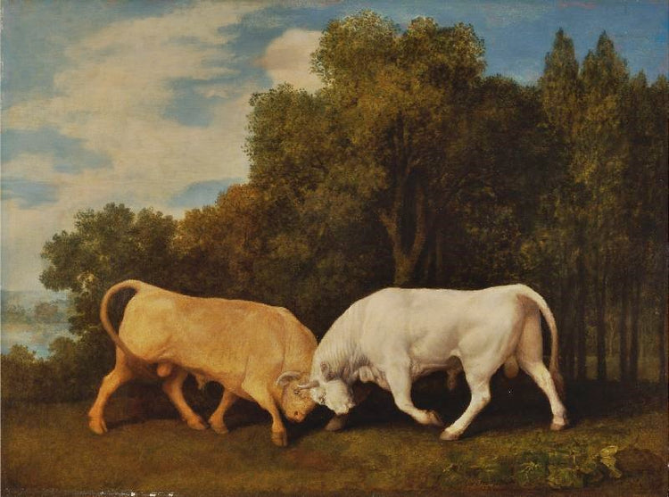 Bulls Fighting by George Stubbs