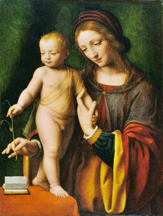 The Virgin And Child With A Columbine by Bernardino Luini