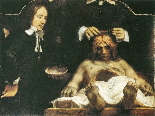 Anatomy Of Doctor Deyman by Rembrandt van Rijn
