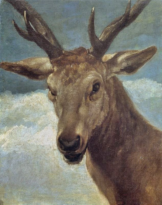 Head Of A Buck by Diego Velázquez
