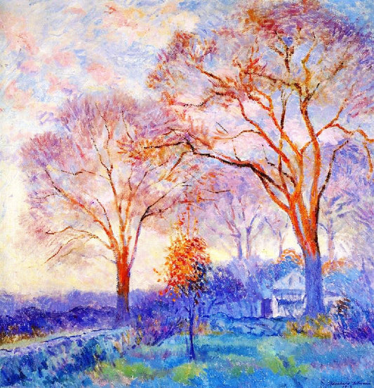 Elms At Sunset by Bernhard Gutmann