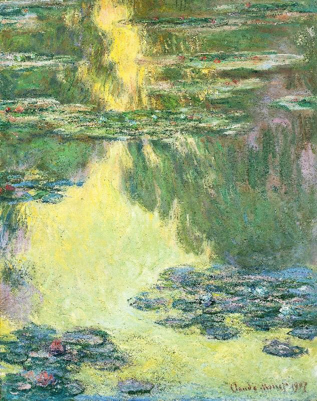 WATER-LILIES IN 1907