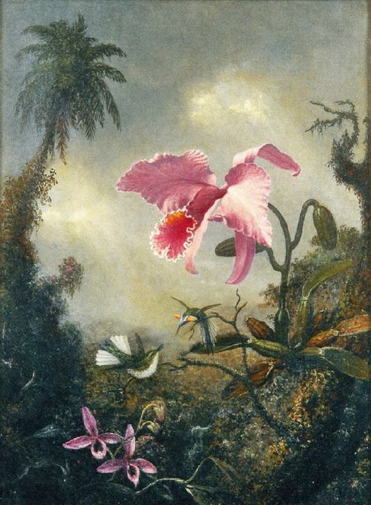 Two Hummingbirds, Two Types Of Orchids And A Palm Tree by Martin Johnson Heade