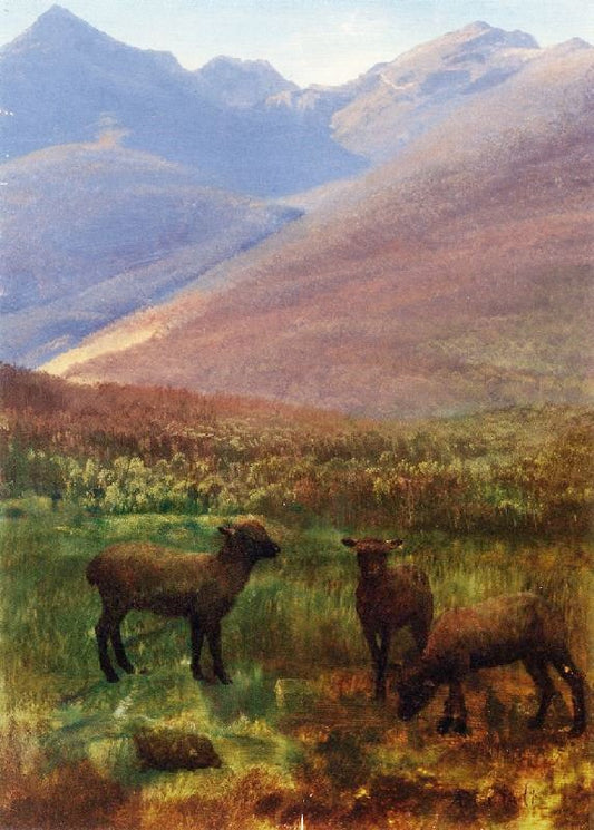 White Mountains Near Glen House by Albert Bierstadt