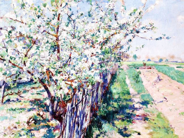 Fruit Trees In Bloom, Grez by William Blair Bruce
