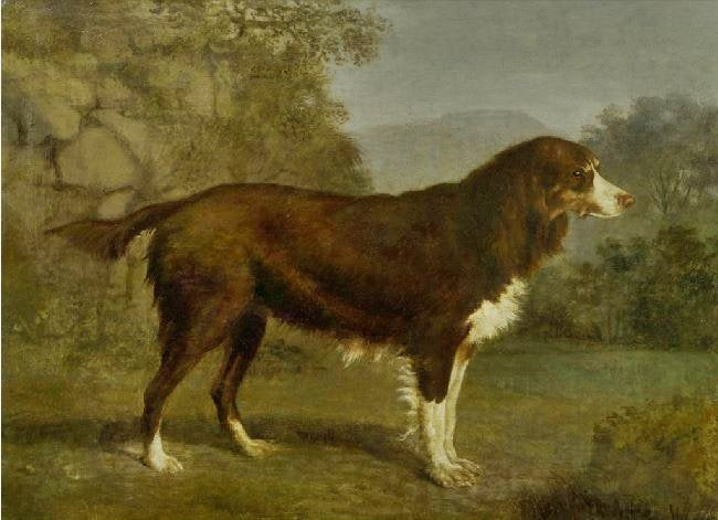 Dog In A Landscape by Jacques-Laurent Agasse