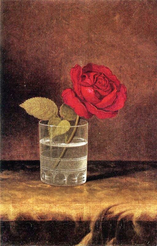 A Red Rose by Martin Johnson Heade