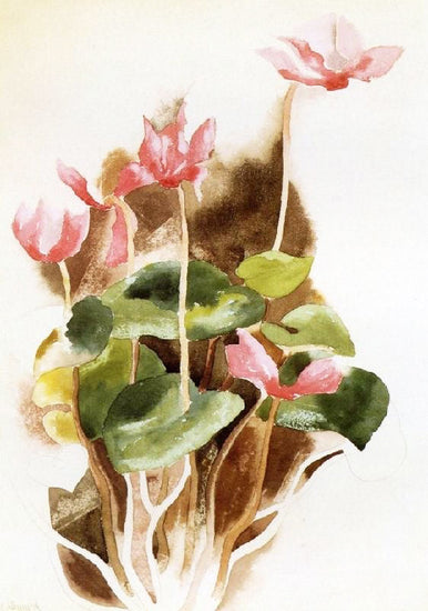 Cyclamen by Charles Demuth