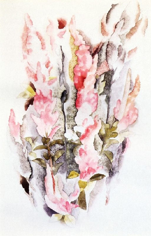 Prince’S Feathers by Charles Demuth