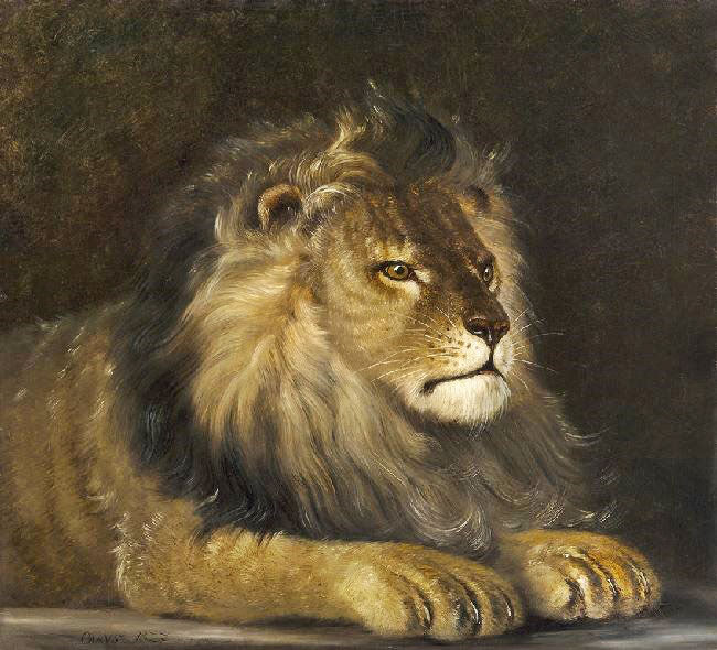A Lion by Carl Gustav Carus