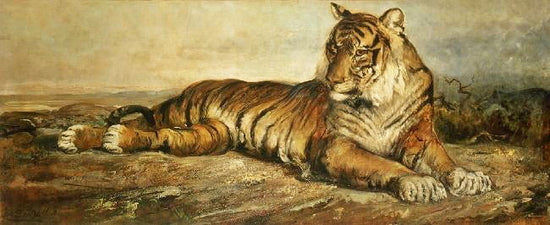Tiger by Ramon Marti Alsina