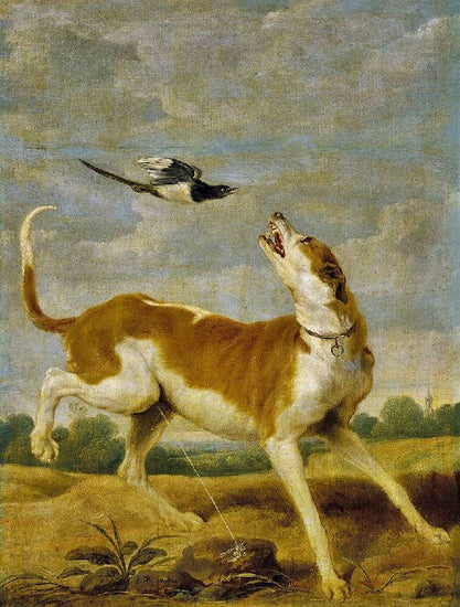 The Dog And Magpie by Paul de Vos