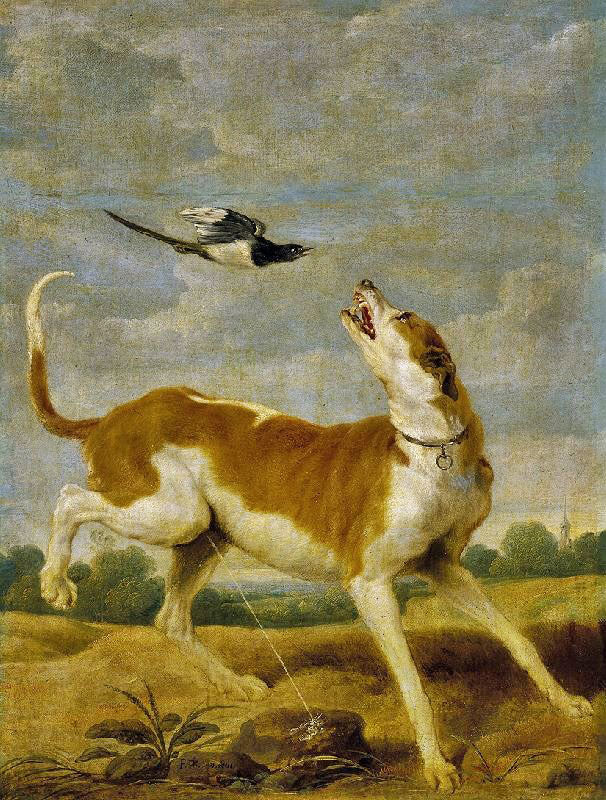 The Dog And Magpie by Paul de Vos