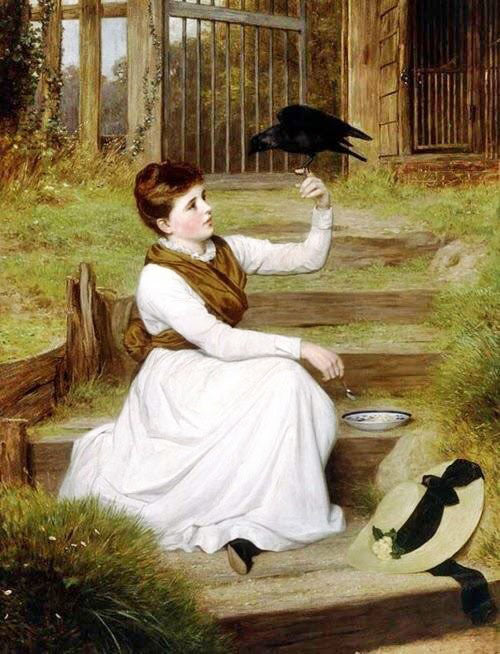 THE TAME JACKDAW