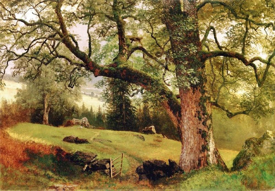 A Trail Through The Trees by Albert Bierstadt