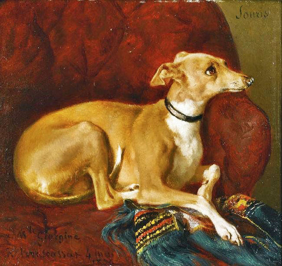 A Greyhound Resting On A Chair by Jacques-Raymond Brascassat