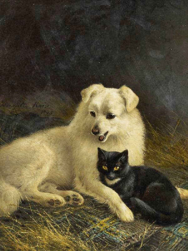 CAT AND DOG