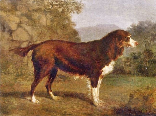 Portrait Of A Dog In A Landscape by Jacques-Laurent Agasse