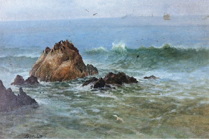 SEAL ROCKS OFF PACIFIC COAST, CALIFORNIA