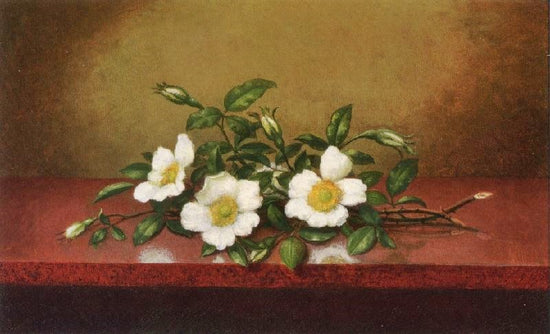 Cherokee Roses On A Shiney Table by Martin Johnson Heade
