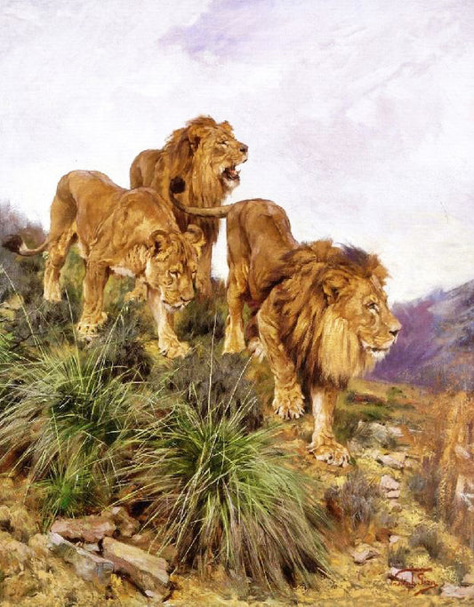 Three Lions Walking Down A Rocky Hillside by Geza Vastagh
