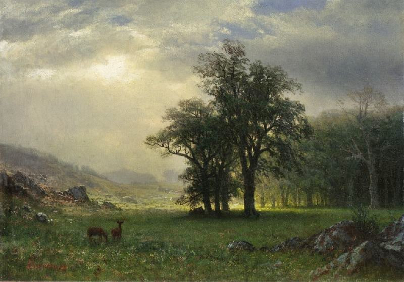 The Open Glen by Albert Bierstadt