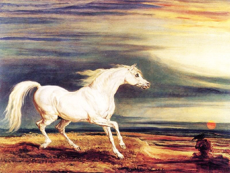 Napoleon’S Horse, Marengo, At Waterloo by James Ward