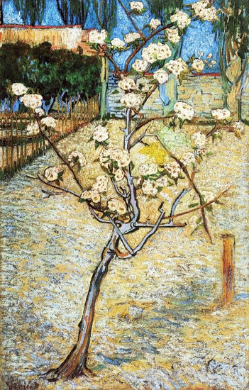 Pear Tree In Blossom by Vincent van Gogh