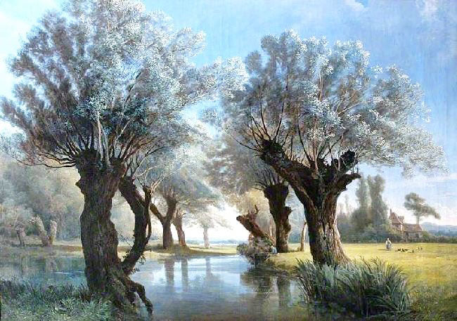 RIVER WITH POLLARD WILLOWS