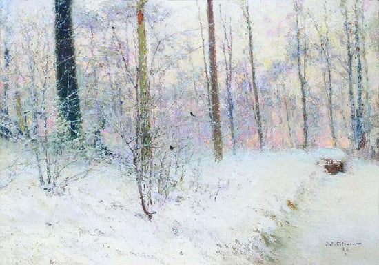Snow Effect by Ivan Pokhitonov