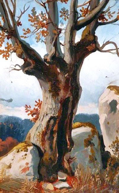 Study Of A Tree by Joséphine Bowes
