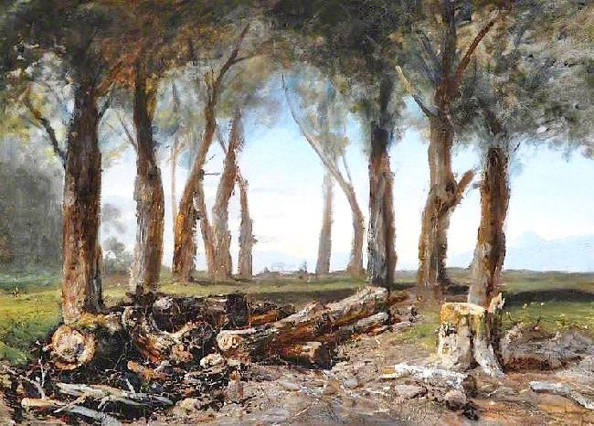Study Of Trees by Joséphine Bowes
