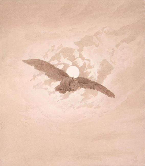Owl In The Moonlit Sky by Caspar David Friedrich