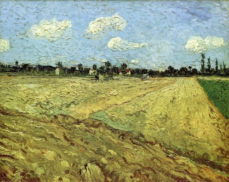 PLOWED FIELD