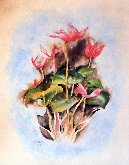 Pink Cyclamen by Charles Demuth