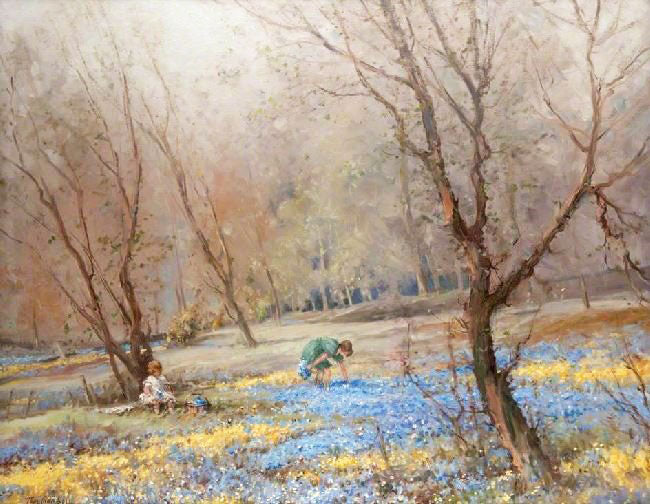 BLUEBELL WOODS, CROOKSTON