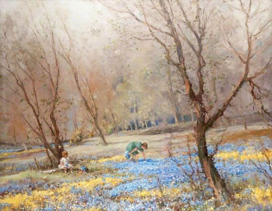 Bluebell Woods, Crookston by Tom Campbell