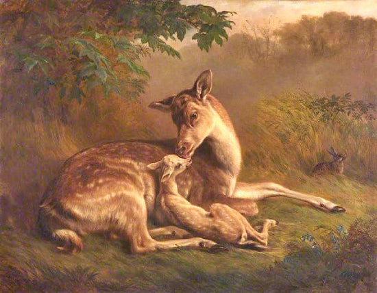 Deer And A Fawn by Samuel John Carter