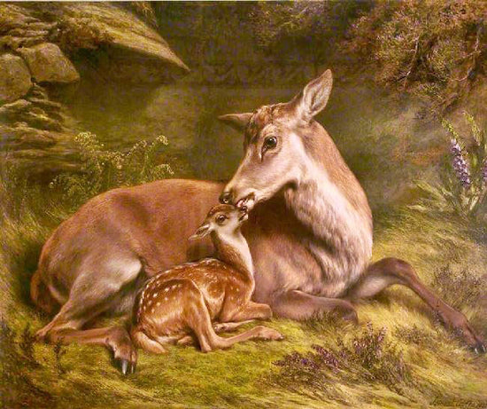 Fallow Deer With Fawn by Samuel John Carter