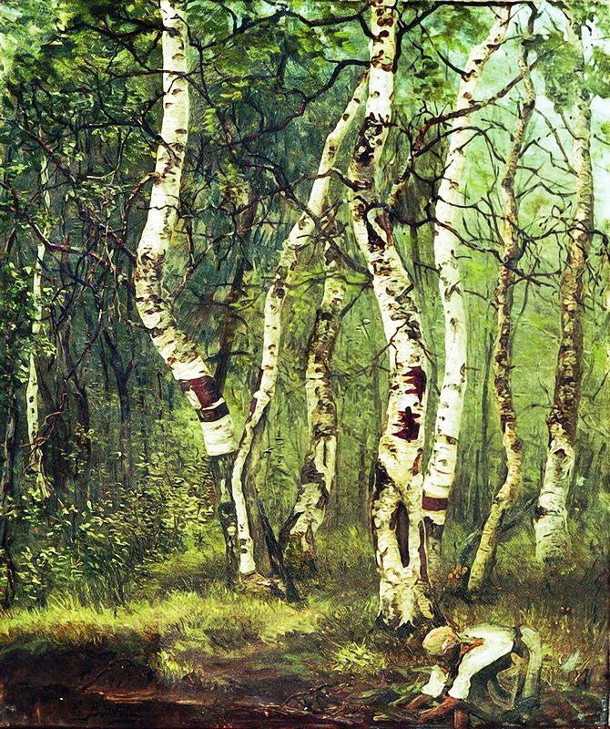 Old Birches by Efim Efimovich Volkov
