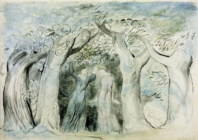 Dante And Virgil Penetrating The Forest by William Blake