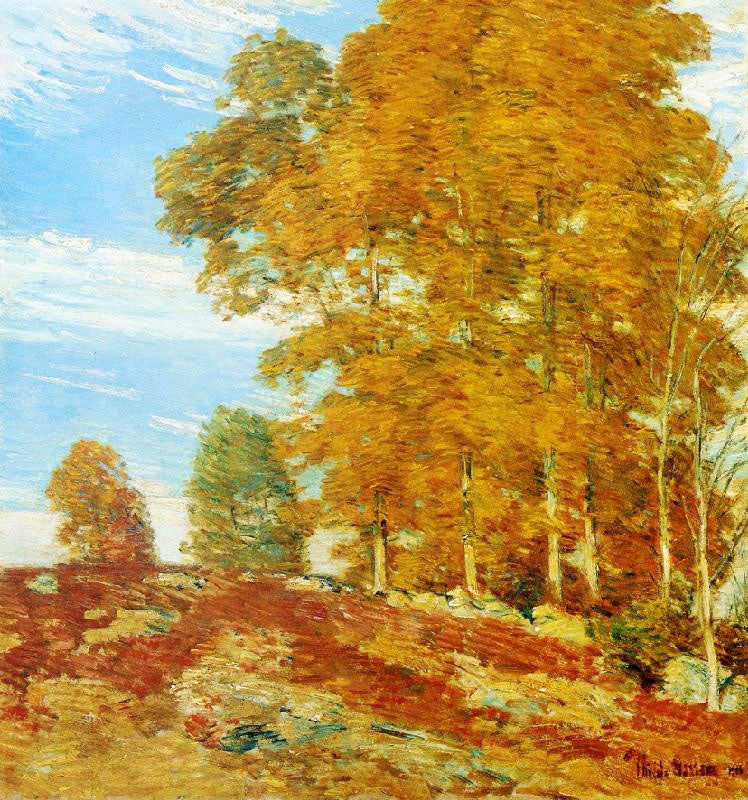 AUTUMN HILLTOP, NEW ENGLAND