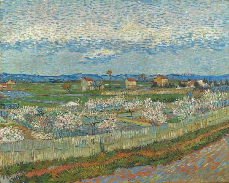La Crau With Peach Trees In Bloom by Vincent van Gogh