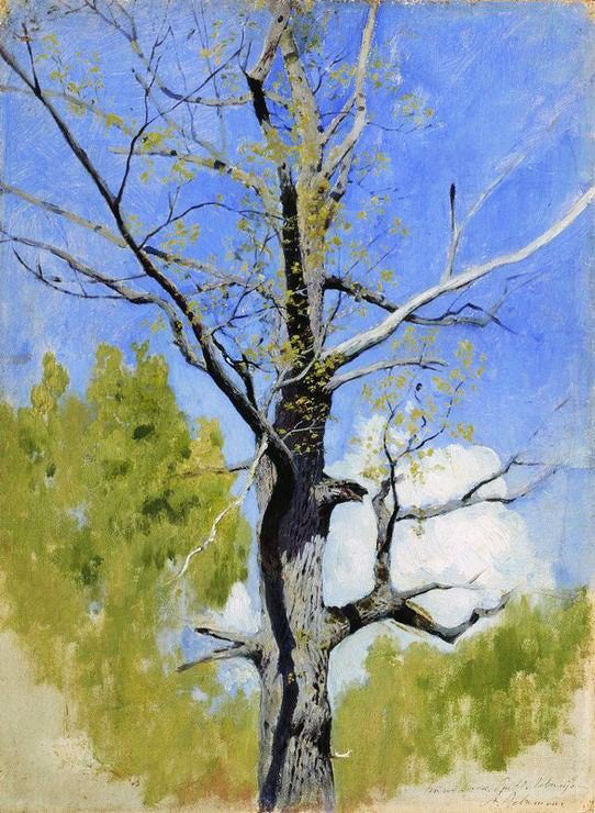 An Oak Trunk by Isaac Levitan