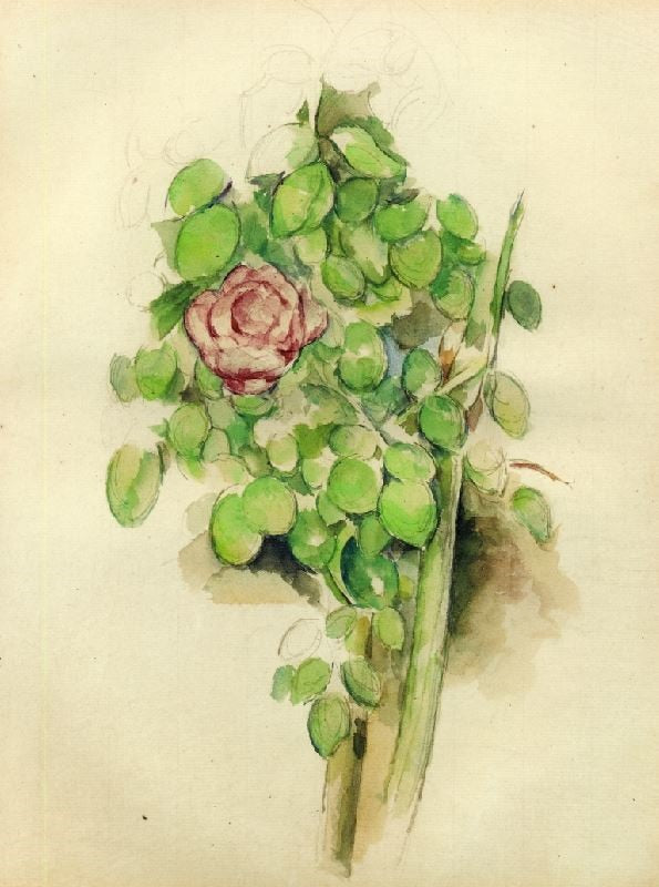 Rose Bush by Paul Cézanne