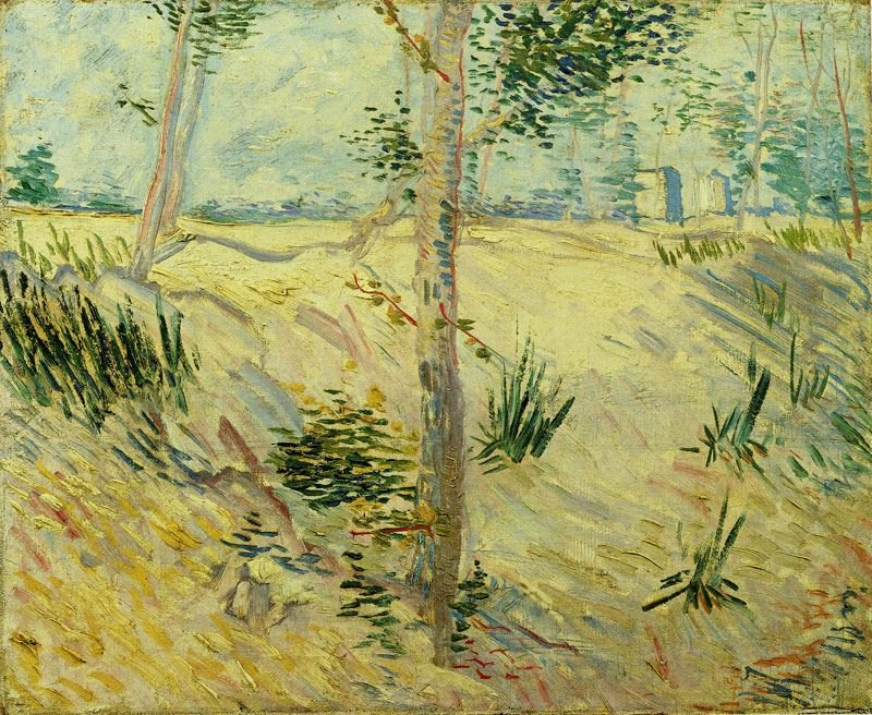 TREES ON A SLOPE