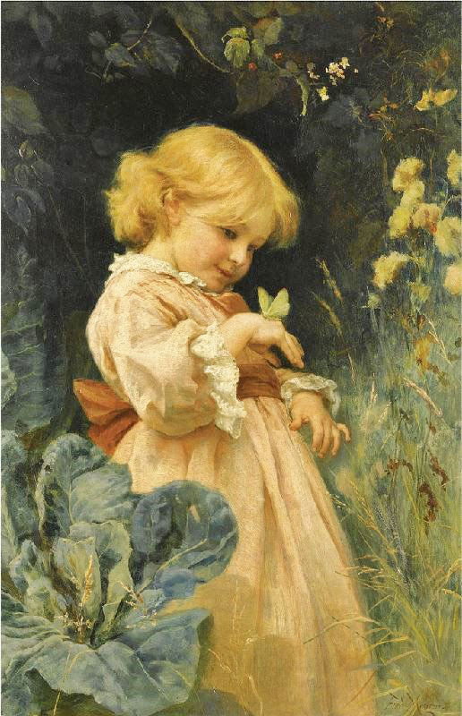 THE BUTTERFLY